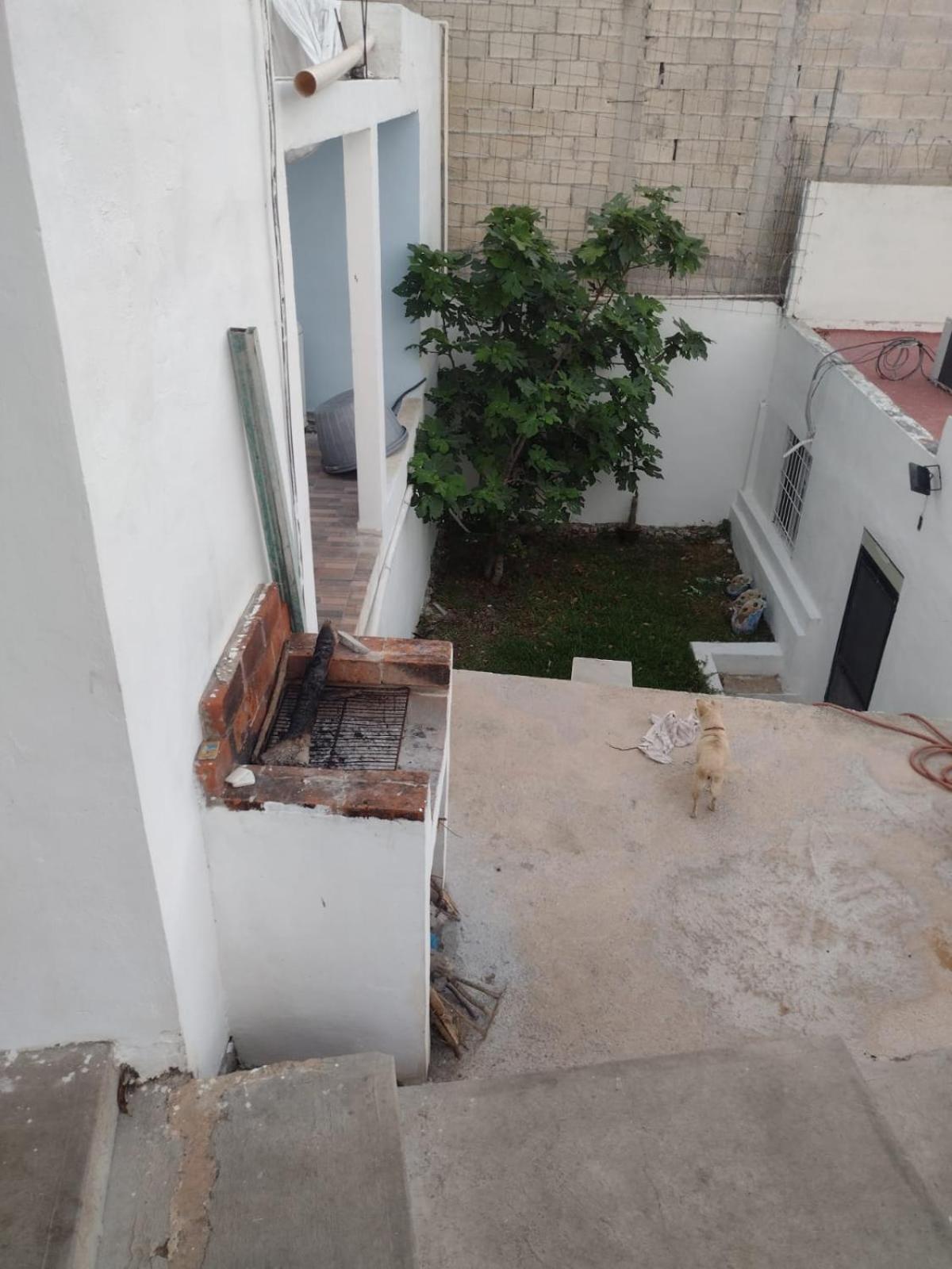 San Diego Kaniste كامبيش المظهر الخارجي الصورة